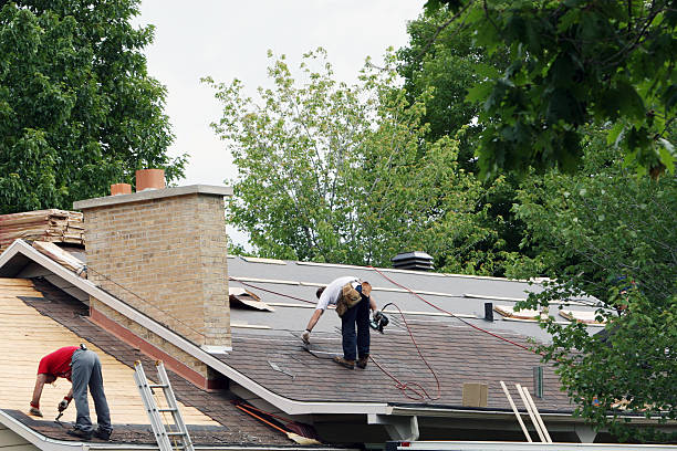 Best Storm Damage Roof Repair  in Warminster Heights, PA