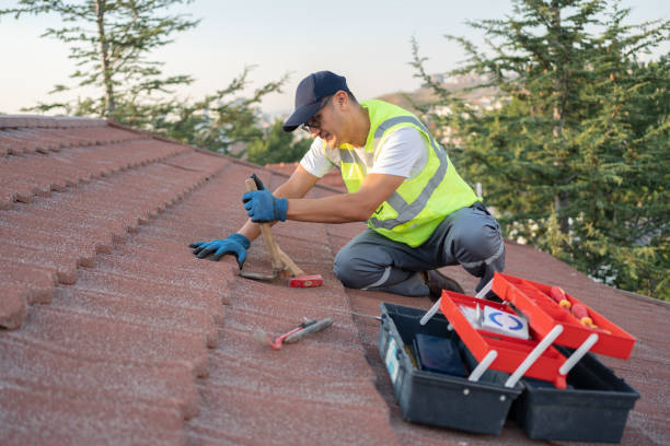 Best Roof Maintenance Services  in Warminster Heights, PA